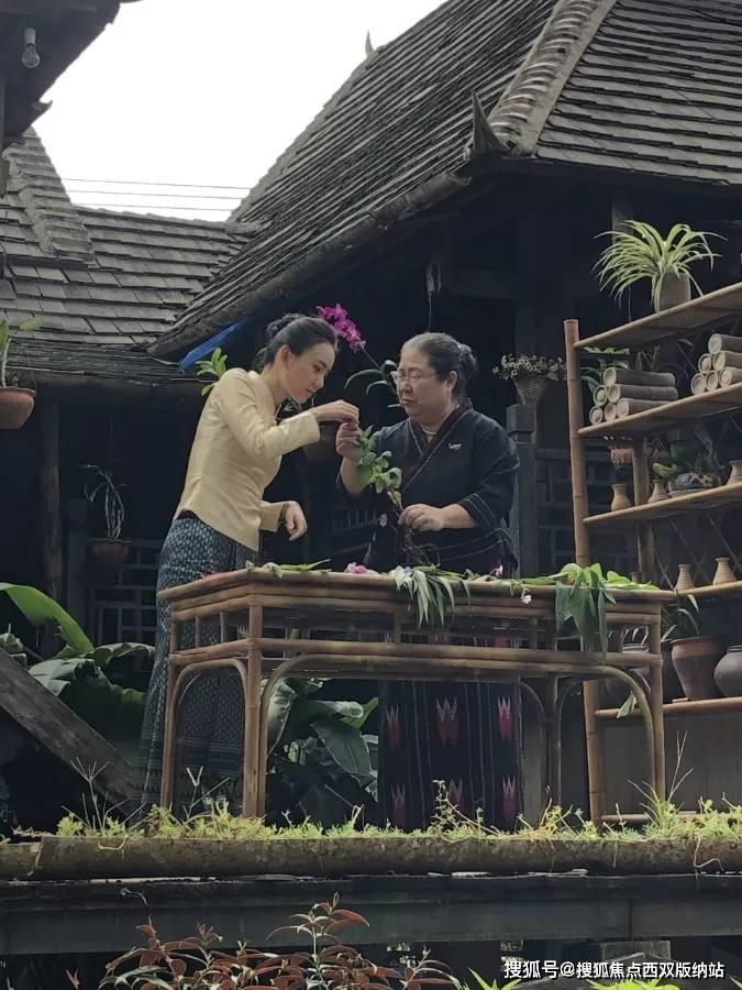 华为手机内屏坏了怎么换？游戏画面